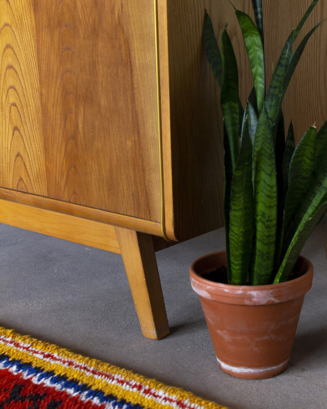 Jitona s knihovnou 1 s